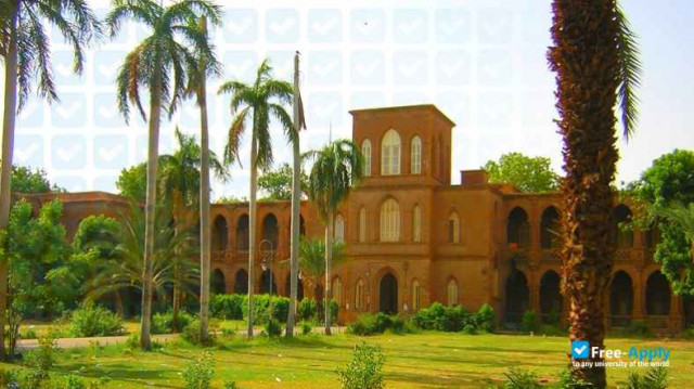 Photo de l’University of Khartoum #8