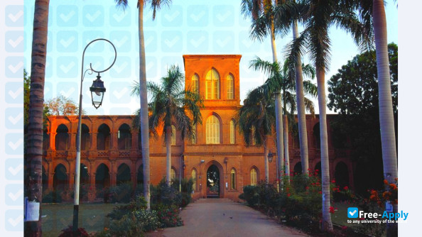 Foto de la University of Khartoum #2