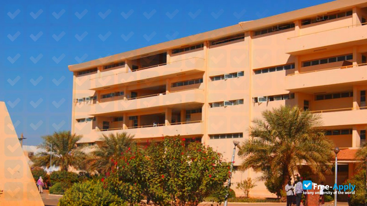 University of Science and Technology, Omdurman фотография №6