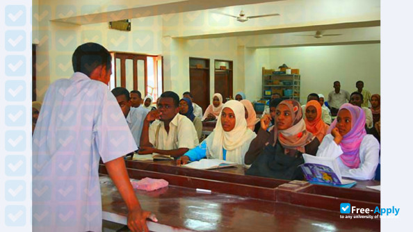 Photo de l’University of Gezira #2