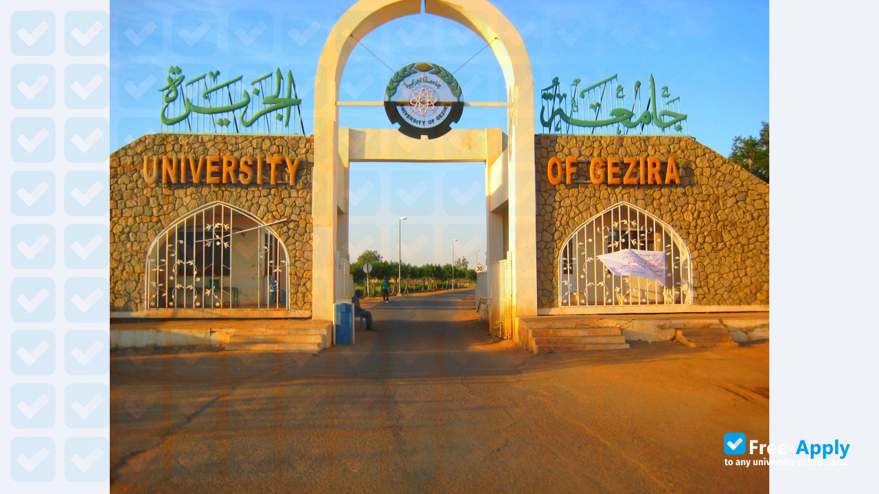 Photo de l’University of Gezira #10