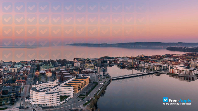 Foto de la Jönköping University #4