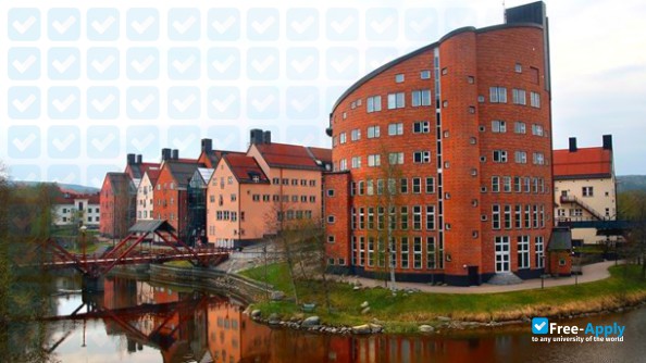 Mid-Sweden University фотография №4