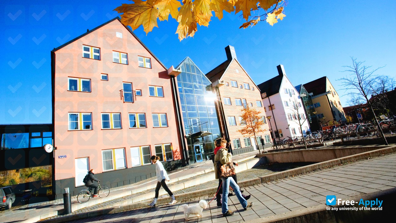 Mid-Sweden University фотография №3