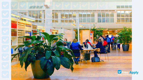 Umea University фотография №8