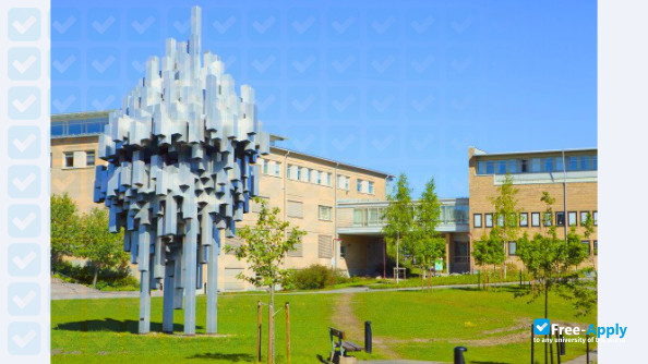 Umea University фотография №6