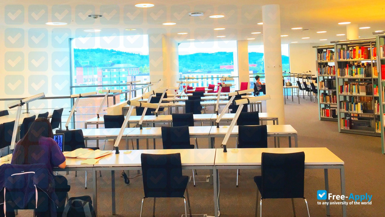 University College of Boras photo #5