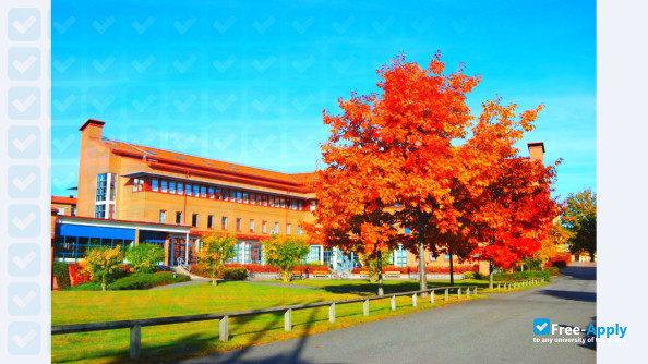 University of Skovde photo #2