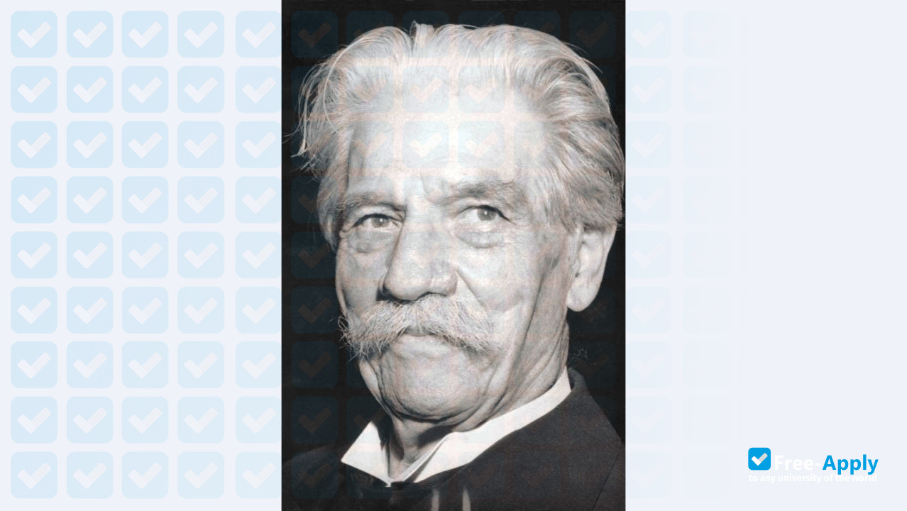 Albert Schweitzer International University photo #9