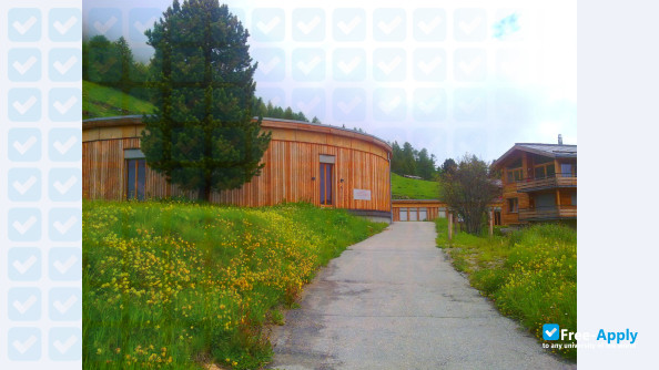 Foto de la European Graduate School #5