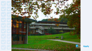 University of Lausanne vignette #11
