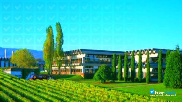 Foto de la School of Changins #5