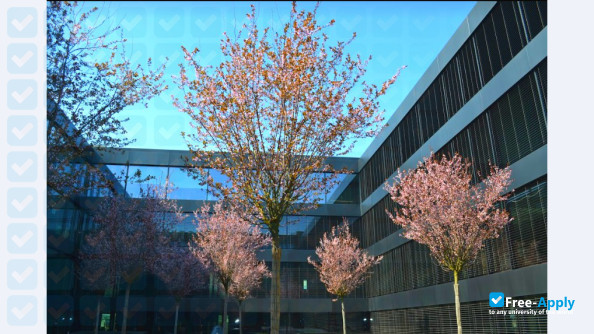 School of Management and Communication Geneva photo #7