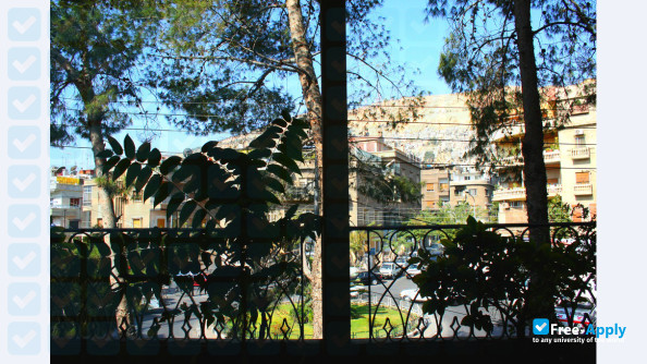 French Institute of the Near East Damascus photo #3