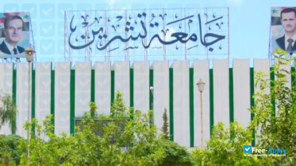 Tishreen University photo #6