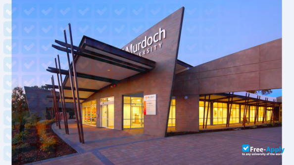 Murdoch University Dubai фотография №5