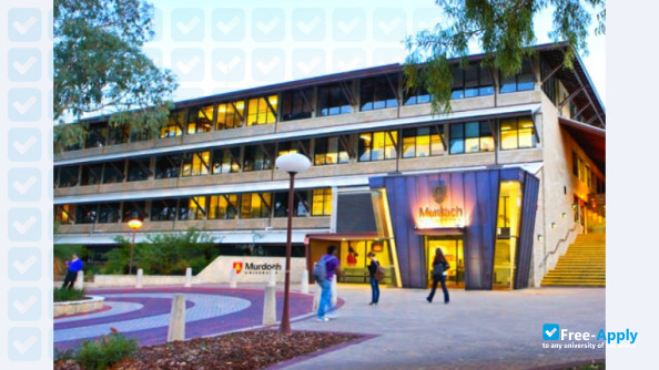 Murdoch University Dubai фотография №8