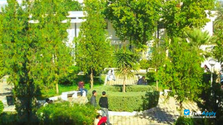 Université de Tunis Institut Supérieur de Gestion de Tunis миниатюра №3
