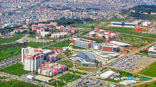 Foto de la Adnan Menderes University #1