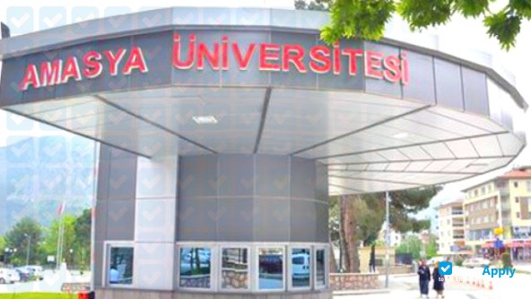 Foto de la Amasya University #8