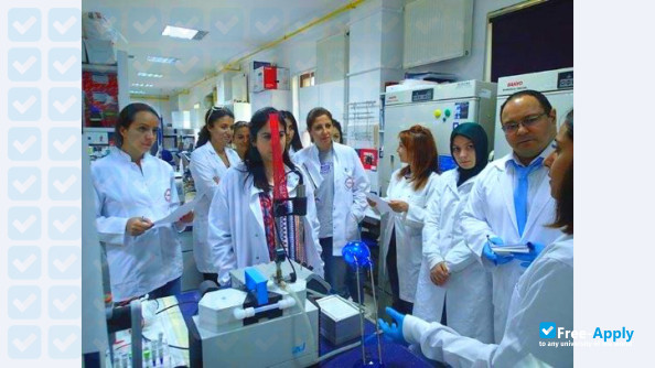 Ankara University photo #5