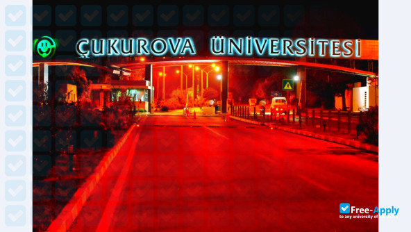 Фотография Çukurova University