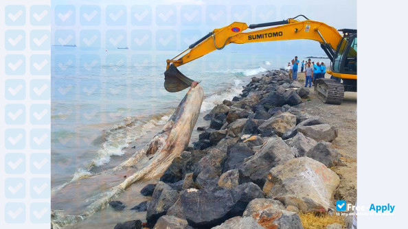 Foto de la Iskenderun Technical University #12