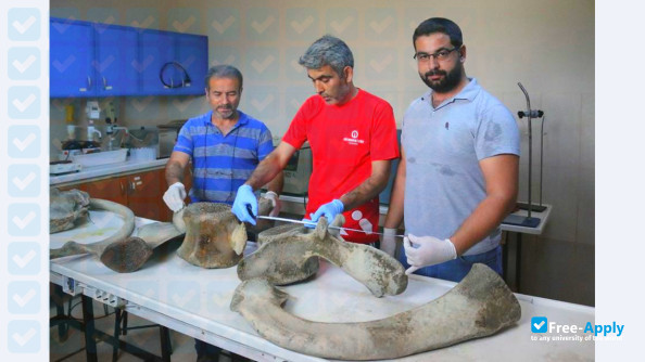Iskenderun Technical University photo #10