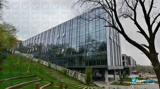 Istanbul MEF University photo #6