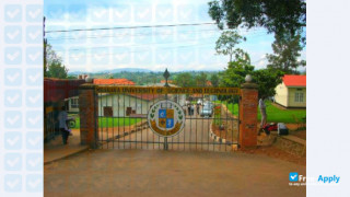Mbarara University of Science and Technology vignette #4