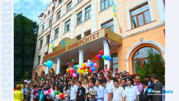 Bukovina University фотография №1
