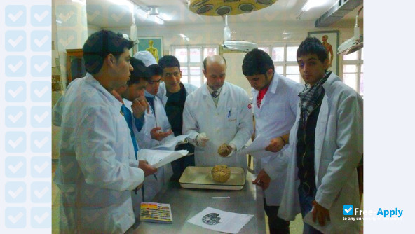 Photo de l’Odessa National Medical University #8