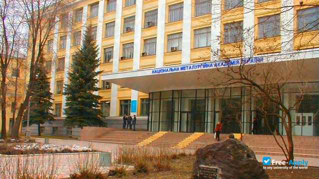 National Metallurgical Academy of Ukraine photo #5