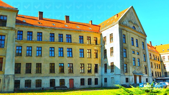 Ukrainian Catholic University photo #8