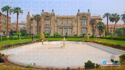 Ain Shams University photo #13