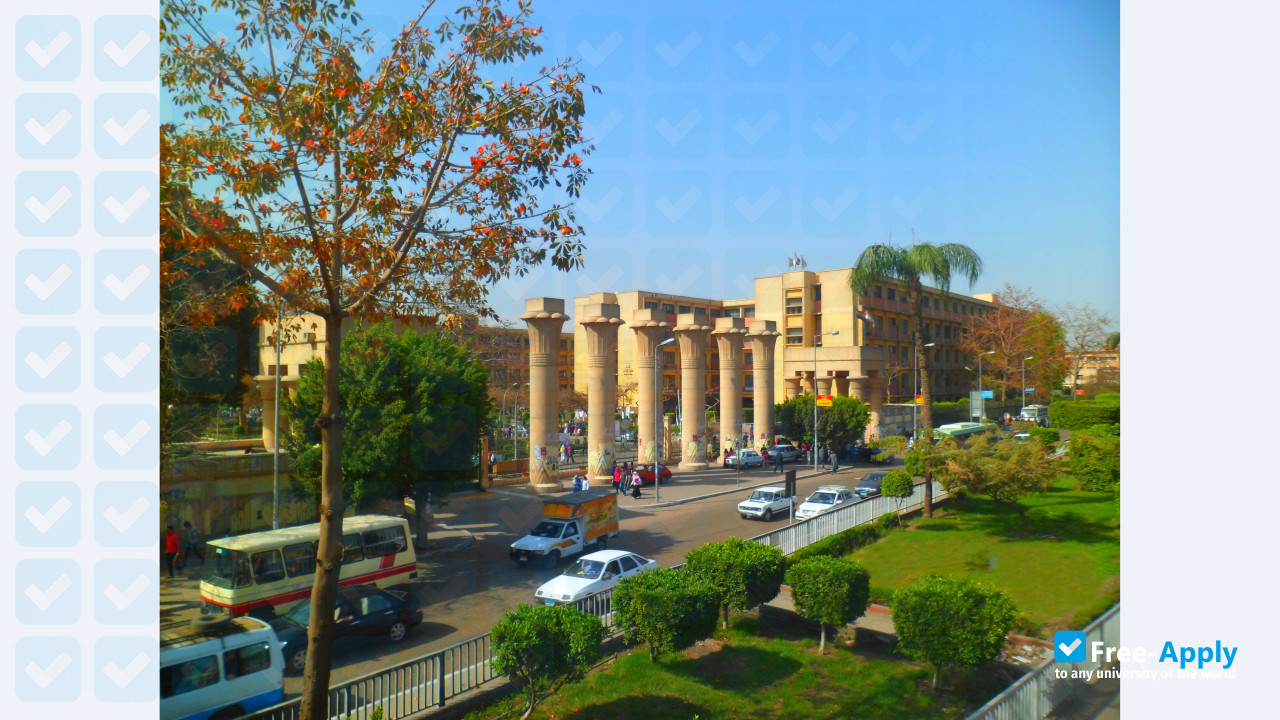 Ain Shams University photo #11