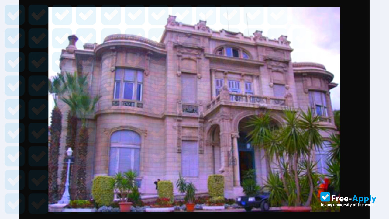 Ain Shams University photo #12