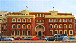Alexandria University миниатюра №11