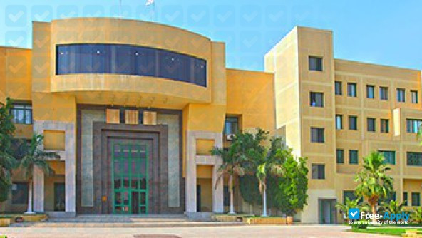 Misr International University photo #5