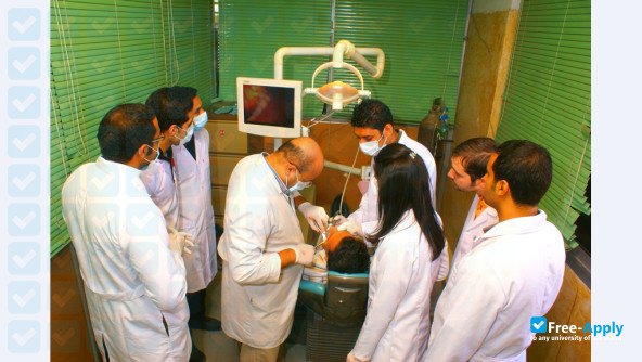 Misr University for Science and Technology photo #1