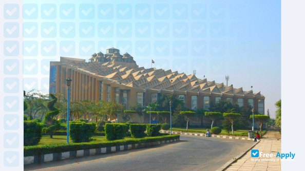 Misr University for Science and Technology photo #9