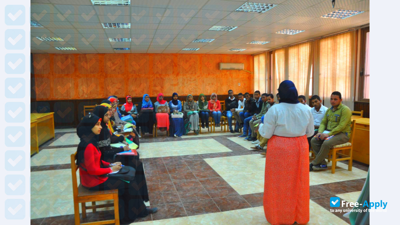 Aswan University photo #9