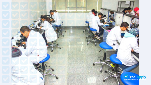 Photo de l’Modern University for Technology and Information #18