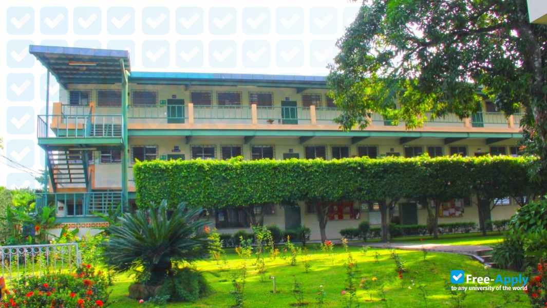 Photo de l’Modern University for Technology and Information #16