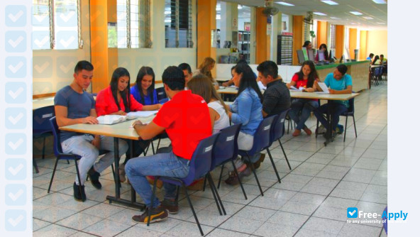 Photo de l’Modern University for Technology and Information #15