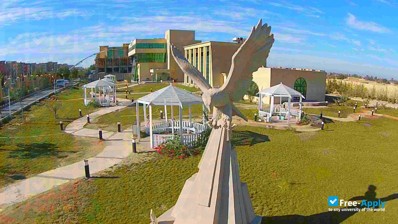 Nahda University photo #7