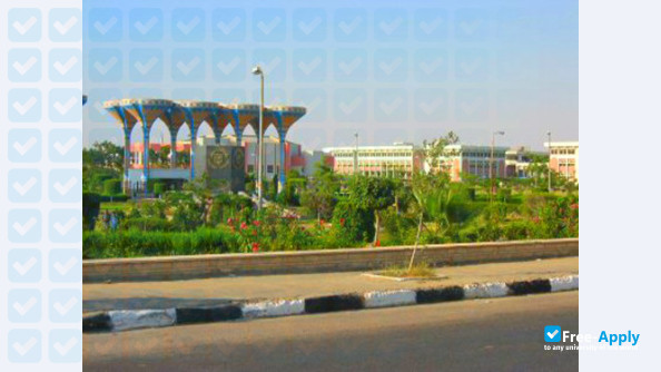 Suez Canal University фотография №2