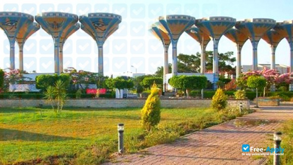 Foto de la Suez Canal University