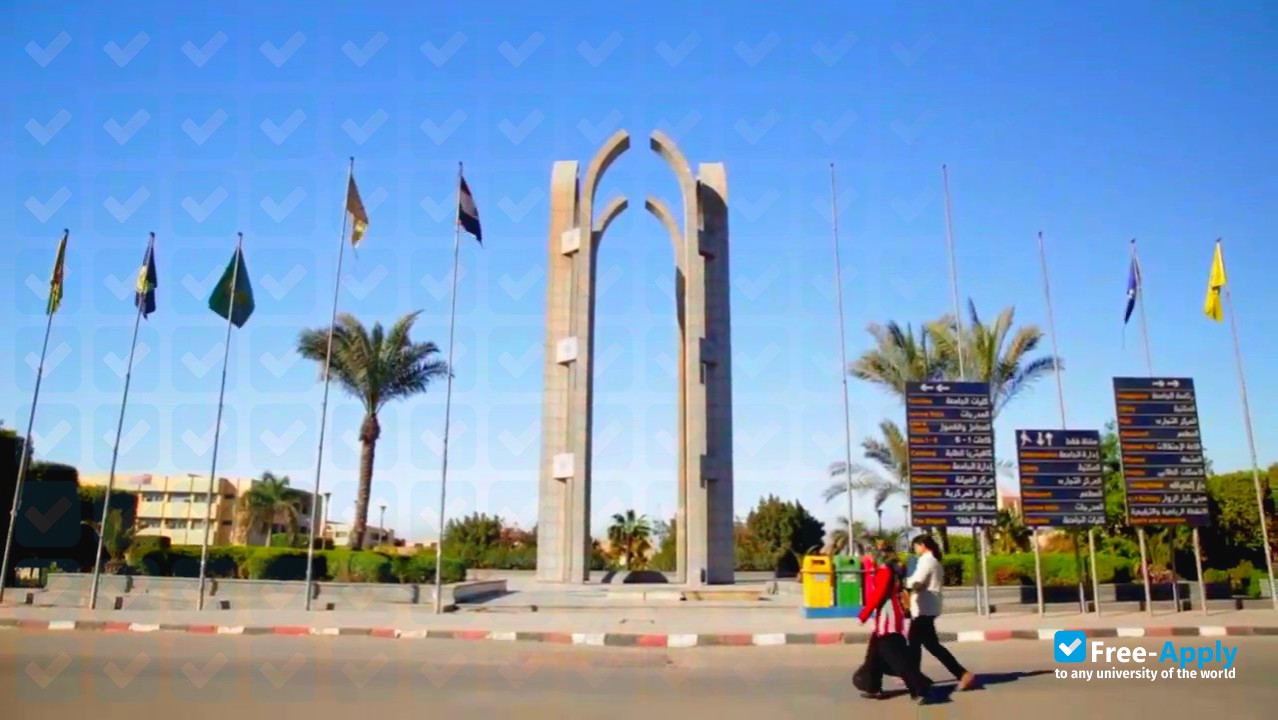 Helwan University photo #2