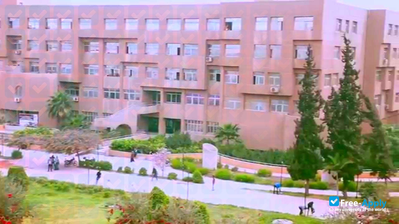 Helwan University photo #8